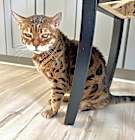 Photo of Ruby Tuesday