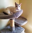 Photo of Molly