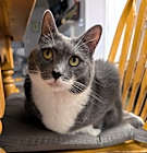 Photo of Bridgette