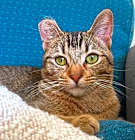 Photo of Abby