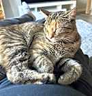 Photo of Penny