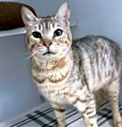 Photo of Lizzy
