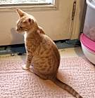 Photo of Coco