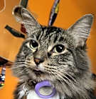 Photo of Delilah