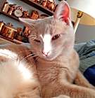 Photo of Rudy