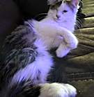 Photo of Princess Grace