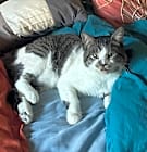 Photo of Billy