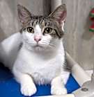Photo of Turod