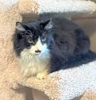 Photo of Alvin