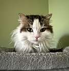 Photo of Lily
