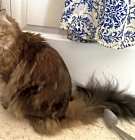 Photo of Ricky (girl)