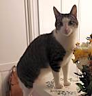 Photo of Wilber