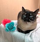 Photo of Ellie Mae
