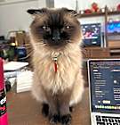 Photo of Theo