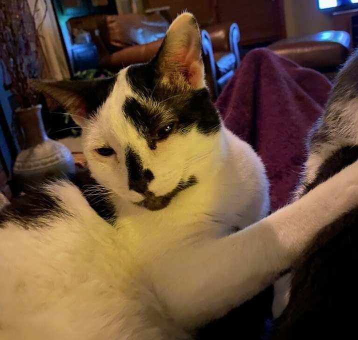 Photo of Bob