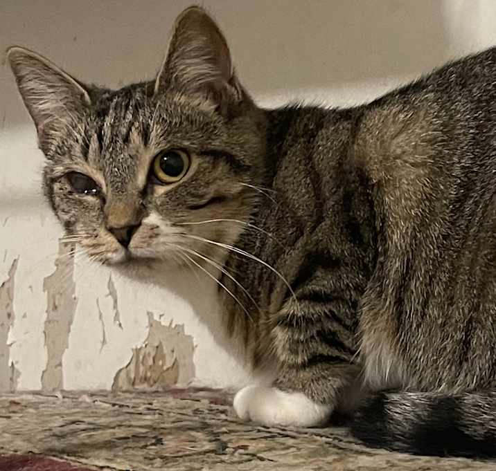 Photo of Emmie