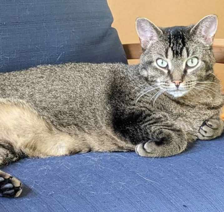 Photo of Maggie
