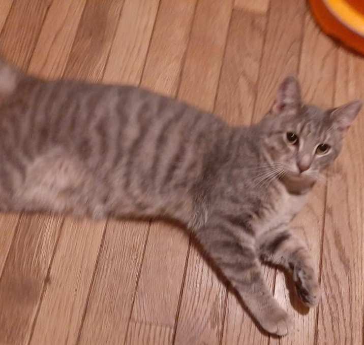 Photo of Frankie