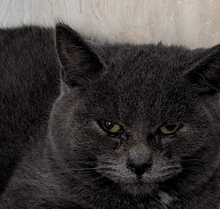 Photo of Stormy