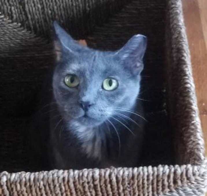 Photo of Roxi