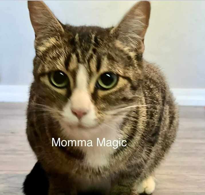 Photo of Magic