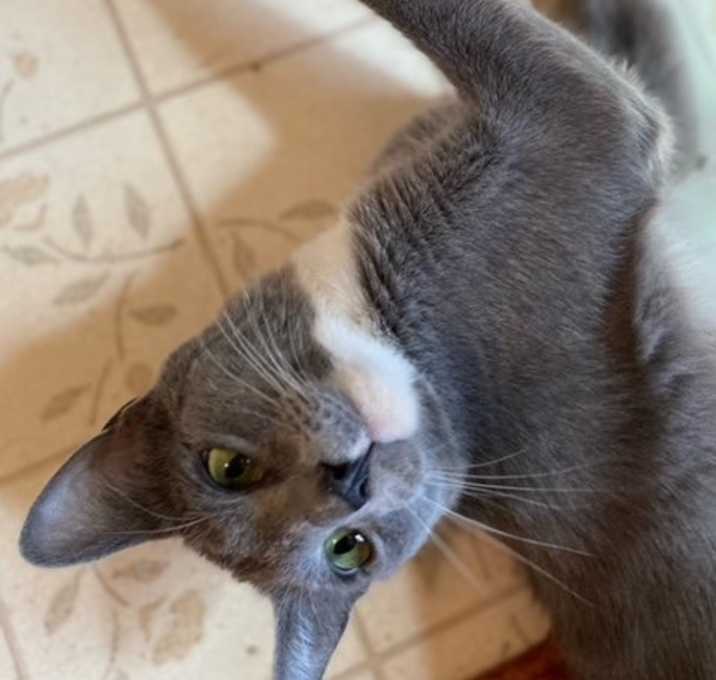 Photo of Tabasco