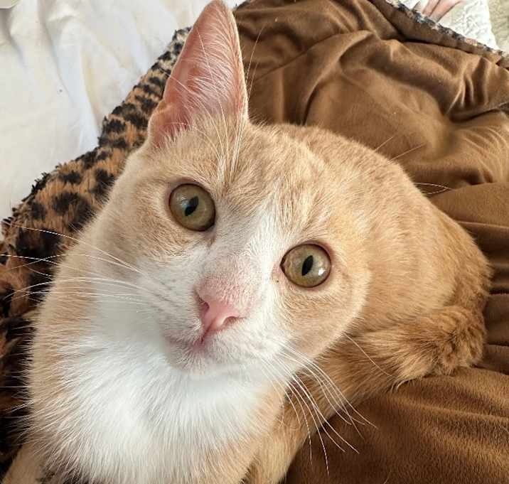 Photo of Sammy Van Gogh