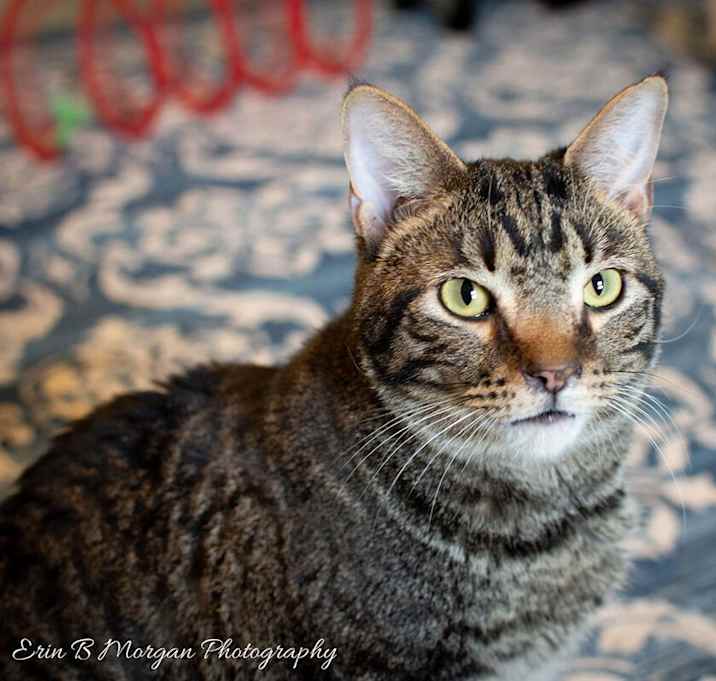 Photo of Rocket
