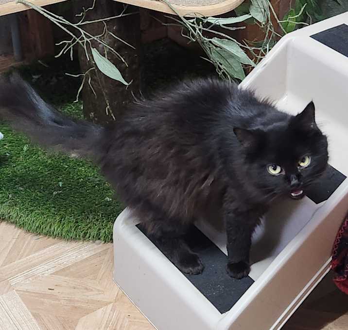 Photo of Liza
