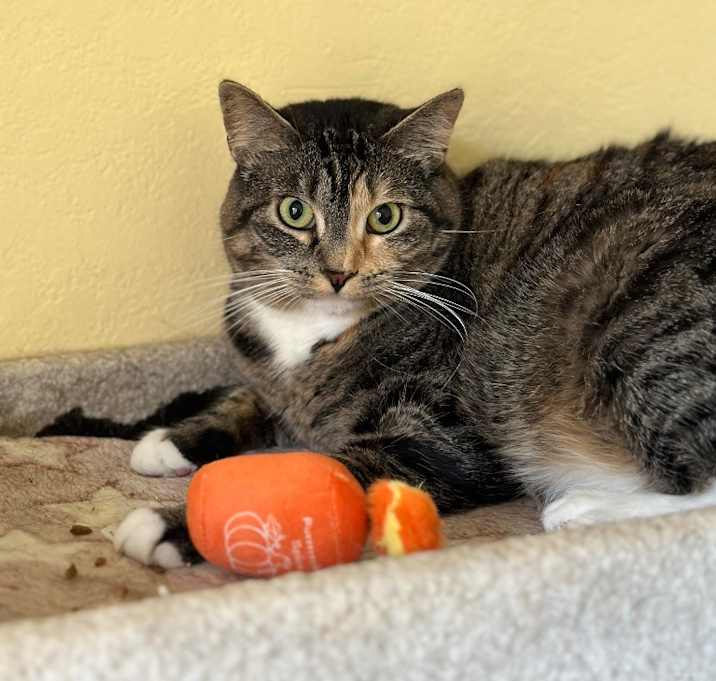 Photo of Mimi (Minnie)