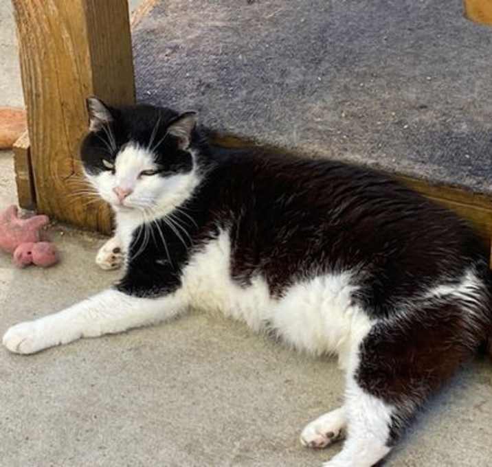 Photo of Vito