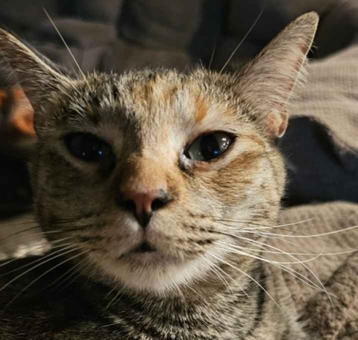 Photo of Mueschka