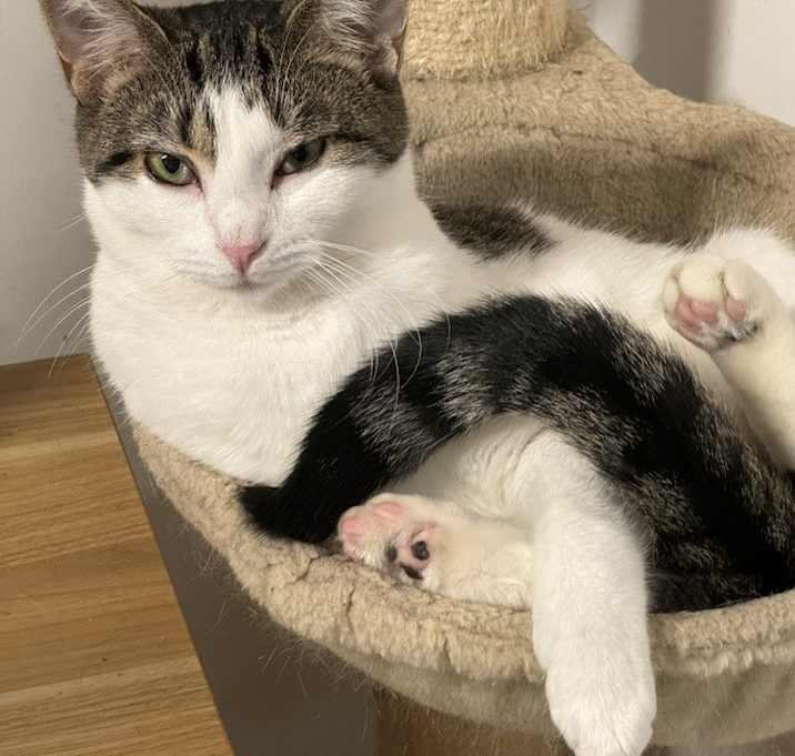 Photo of Callie Mae