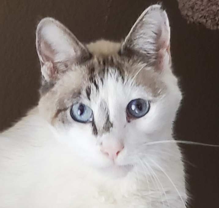 Photo of Handsome