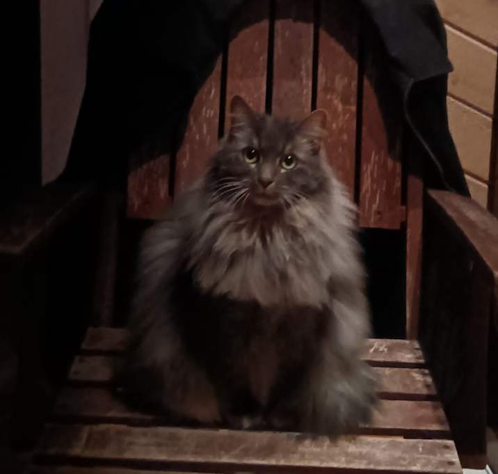 Photo of Macy