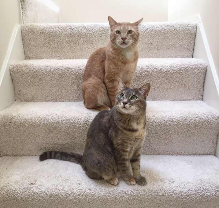 Photo of Chance and Soffie