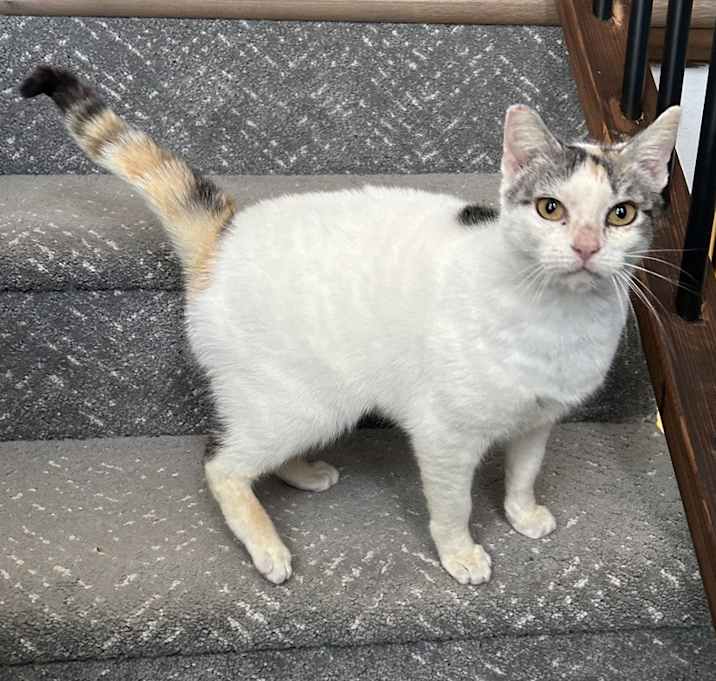 Photo of Laurel