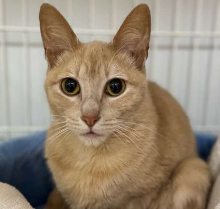 Photo of Tookie