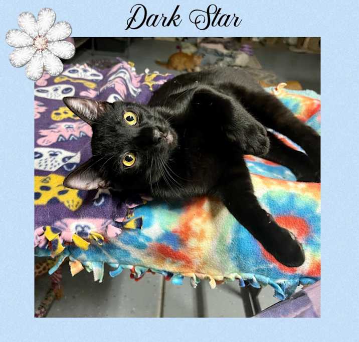 Photo of Dark Star