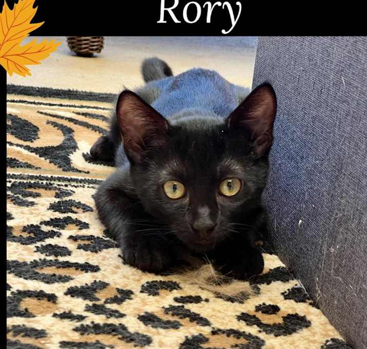 Photo of Rory