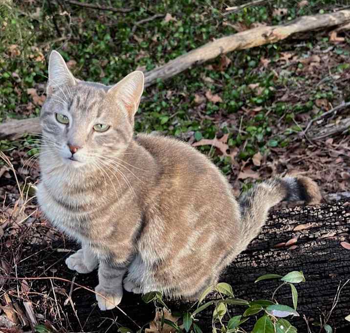 Photo of Willie