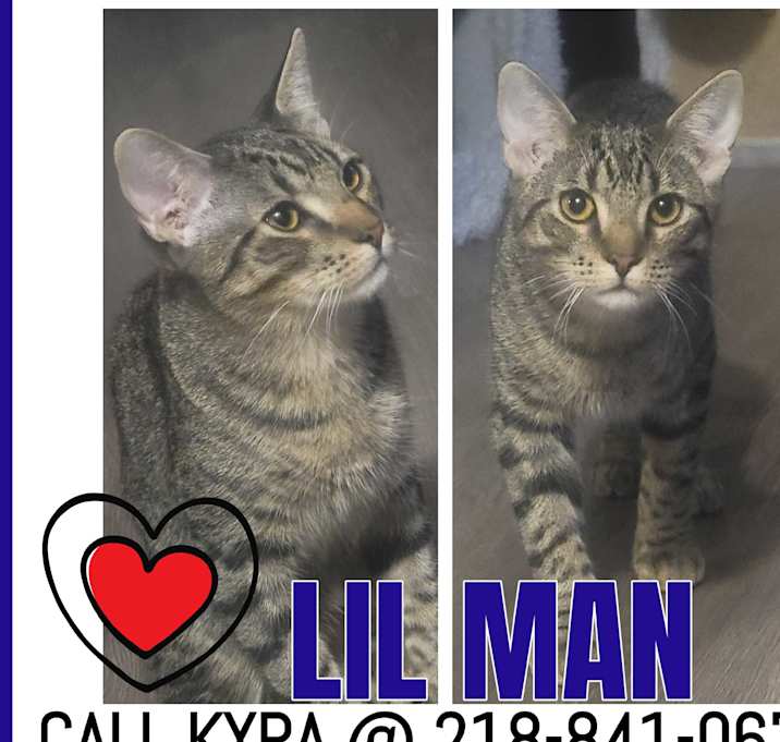 Photo of Lil Man-COURTESY LISTING