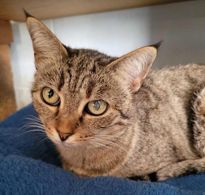 Photo of 4837 Lexi