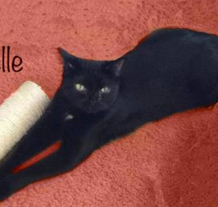 Photo of Belle K Foundinshed