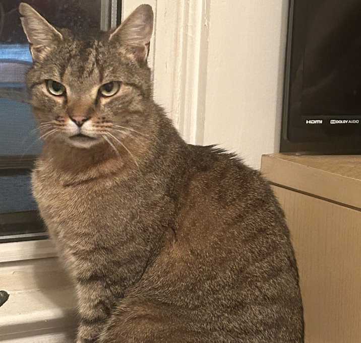 Photo of Big Boy LW