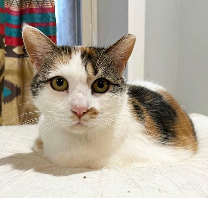 Photo of Bonnie the Beauty