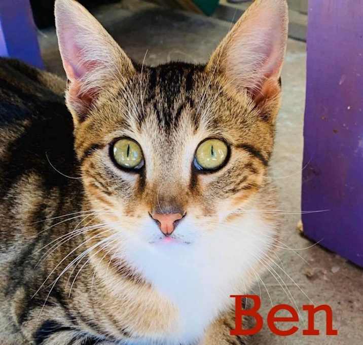 Photo of Ben