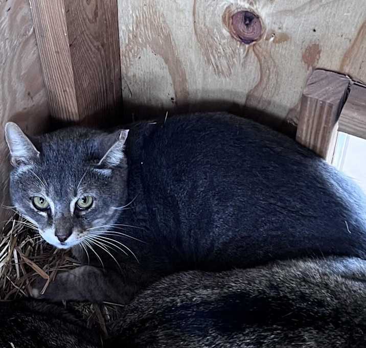 Photo of Ceasar