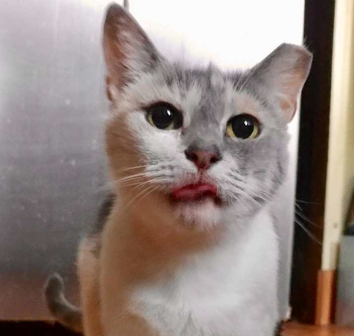 Photo of Butter