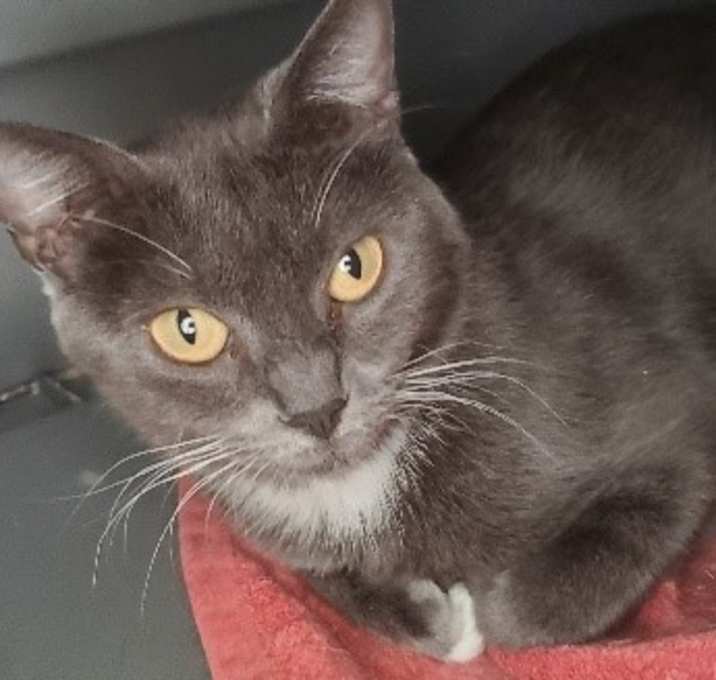 Photo of Cleo